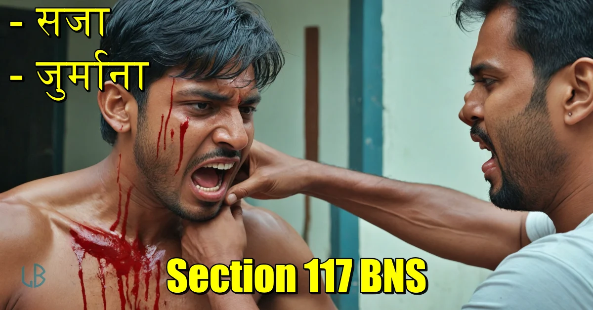 Section 117 BNS: स्वेच्छा से घोर उपहति कारित करना