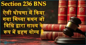 Section 236 BNS: ऐसी घोषणा में किया गया मिथ्या कथन जो विधि द्वारा साक्ष्य के रूप में ग्रहण योग्य है