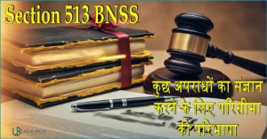 Section 513 BNSS: कुछ अपराधों का संज्ञान करने के लिए परिसीमा की परिभाषा